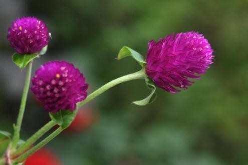 唯美伤感句子关于友情