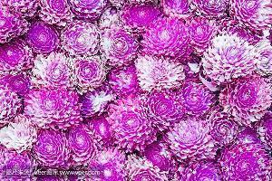 对男朋友失望的句子