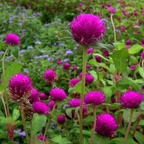 唯美古风意境句子简短