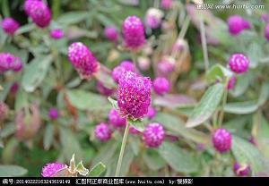 形容恋爱的唯美句子85句