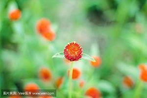 创意物品设计广告语