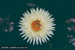 用三年五载造句大全