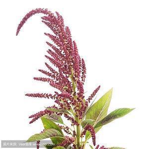 2021适合高考结束文案句子大全汇总90句