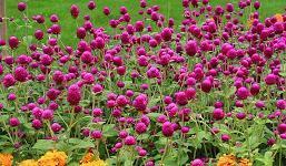 周末清晨正能量一句话 周六早安心语简单一句话汇总37句