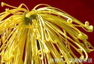 说说爱情幸福的句子 经典爱情句子89句