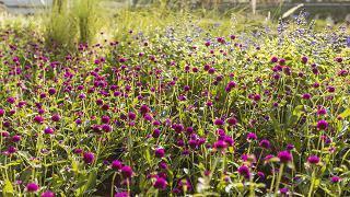 自己要强大的句子 正能量振奋人心的句子44句