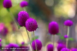 秋天伤感文案句子 有关于秋天朋友圈文案