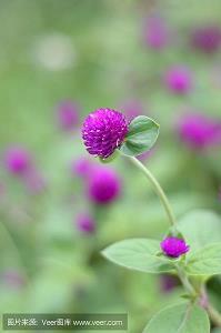 纪念九一八勿忘国耻句子(精选72句)