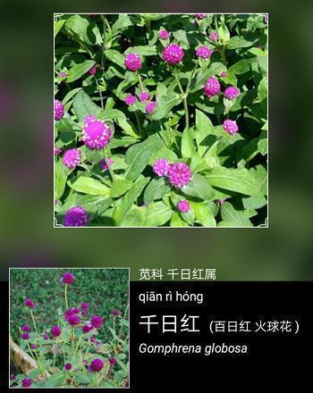 伤感爱情的说说(49句)