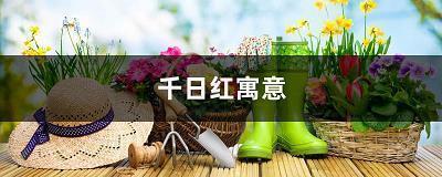 聚精会神的近义词和反义词 聚精会神的意思和造句大全