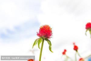 虐到心碎的古风句子- 古风伤感唯美意境句子汇编64句