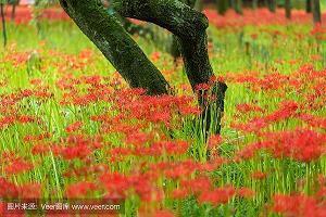 暗示对兄弟失望的句子