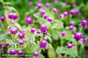 2021愿往后余生的暖心句子精选73句