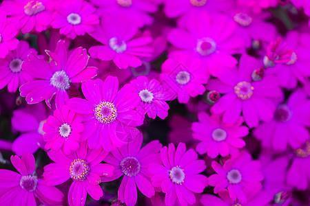 下雪天最浪漫的一句话