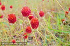 体育教师年度考核个人总结10篇最新(精选37句)