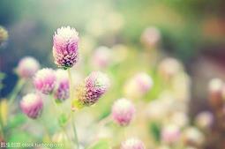 重阳节最走心的祝福文案简短(精选70句)