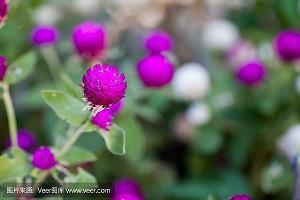 对异性失望的句子