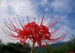 4.1愚人节说说短信文案经典