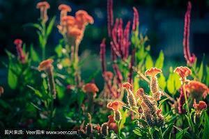 适合发朋友圈的高情商句子