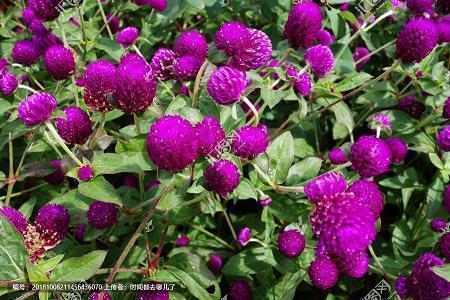 男人对女人的失望的句子说说心情