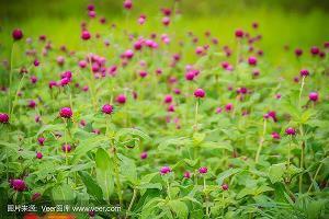 适合发抖音的文字句子 所有的迫不及待，都等不来期待