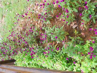 表示对男票很失望的句子