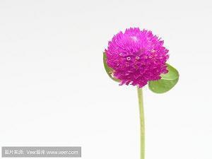 床上用品四件套清仓促销广告词录音词