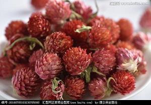 祝你开心快乐幸福的句子