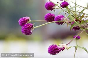 安全质量宣传口号