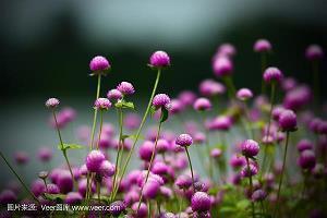 愚人节说说文案