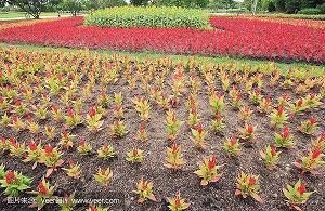 再见2021你好2022的心情说说句子大全(精选95句)