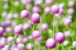 不离的感人句子