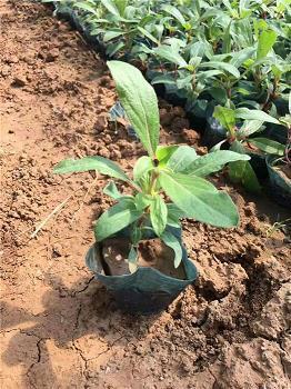 回忆十年友情的句子14句