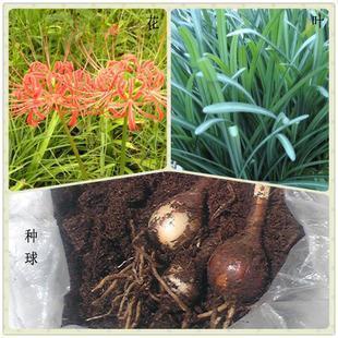晚安发朋友圈正能量句子(精选18句)