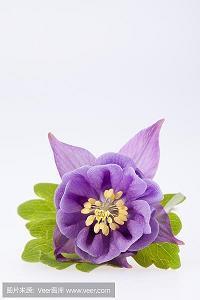 腊八节暖心短祝福语 2021腊八节朋友圈祝福语