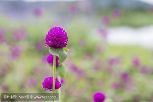 大雪节气祝福问候语大全
