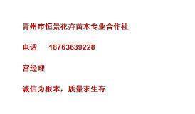 享受大自然的唯美句子(精选76句)