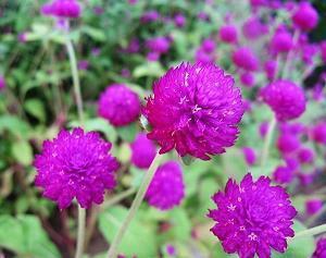 10篇读书笔记好词好句好段摘抄大全带书名