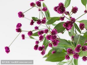 2021教师节祝福语精选句子(精选92句)