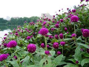 睡前一句话暖心话 晚安的温馨简短一句话汇编74句