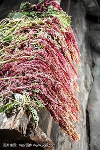 致自己的励志短句