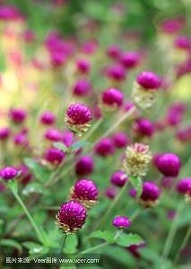 睡前最暖心的晚安情话