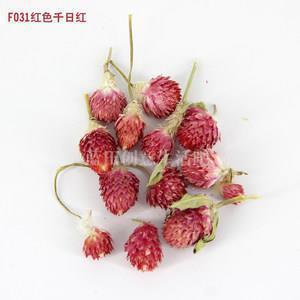 万圣节超赞的文案句子(精选66句)