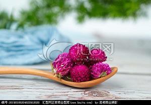 形容春分的优美句子83句