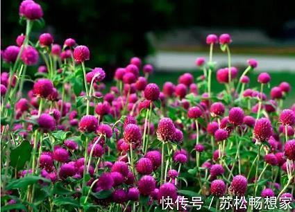 让人瞬间泪崩的句子 一秒泪崩的句子(精选75句)