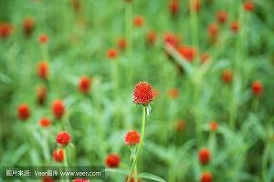 男生祝福自己生日快乐的文案(精选77句)