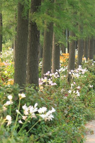 即将面临中考的说说 中考倒计时3天的说说合集82句