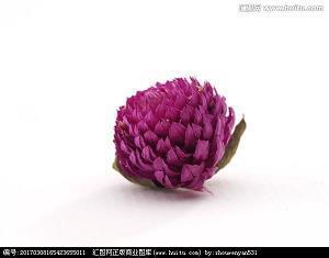 秋天伤感的句子