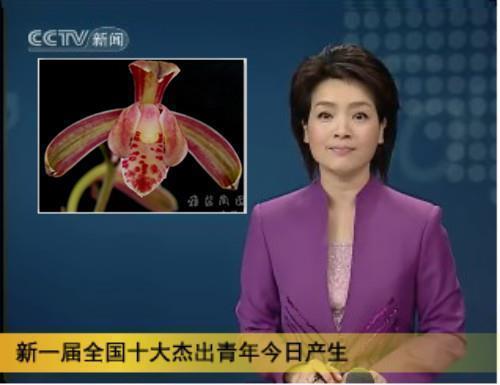 对老公失望又不能抱怨的句子