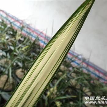 表达心情感慨的句子 心情感叹简短句子